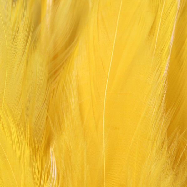 FFGene Strung Saddles Hackle