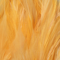 FFGene Hackle di sella di gallo in mazzo