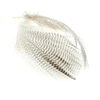 FFGene Fianco d'anatra alzavola