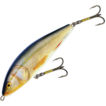 Salmo Warrior