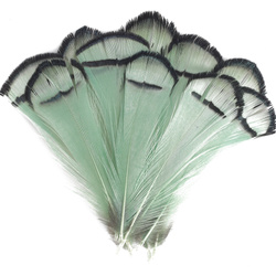 FFGene Piume tippet di fagiano di Lady Amherst