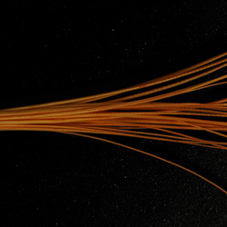 Hareline Quill per corpi