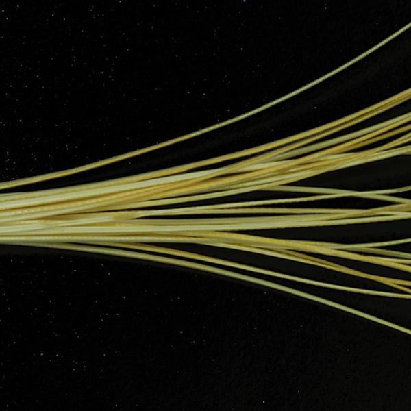 Hareline Quill per corpi