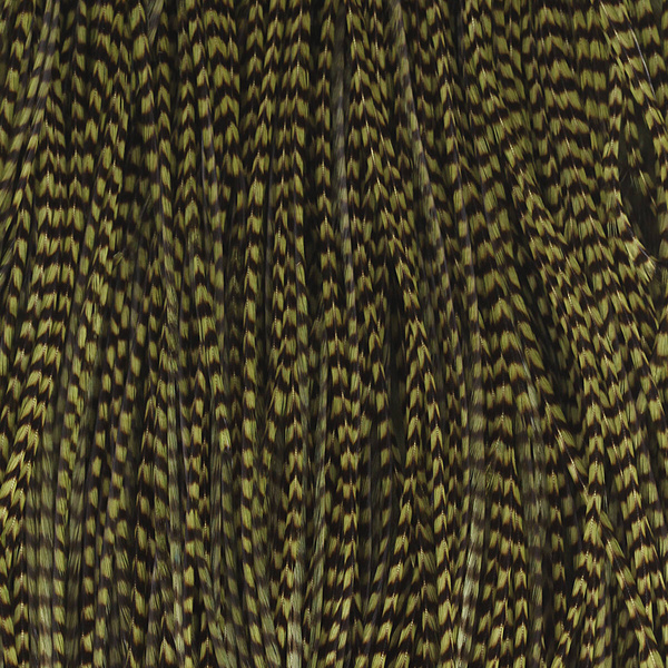 Sella di gallo Keough Hackle per mosche secche