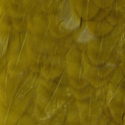Pezza di sella di gallina Wapsi