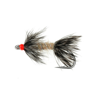 Verme della sabbia CS (415)