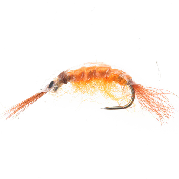 Scud Arancione