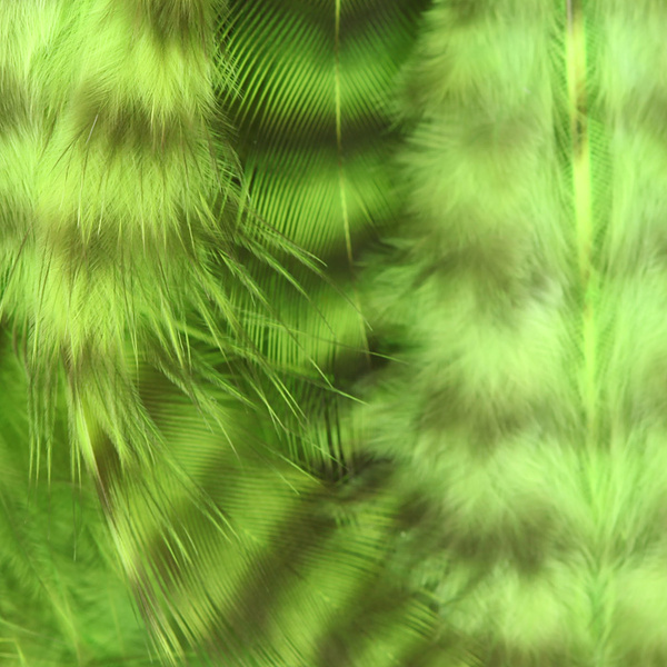 Hareline Piume da hackle morbida Grizzly
