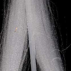 Fibre sintetiche per mosche artificiali H2O Fluoro Fibre