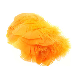 Wapsi Piume piatte di tacchino