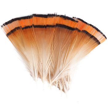 FFGene Piume tippet di fagiano dorato