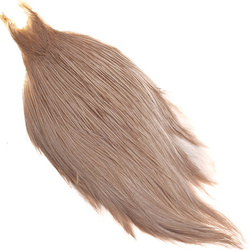 Collo di gallo Metz #2