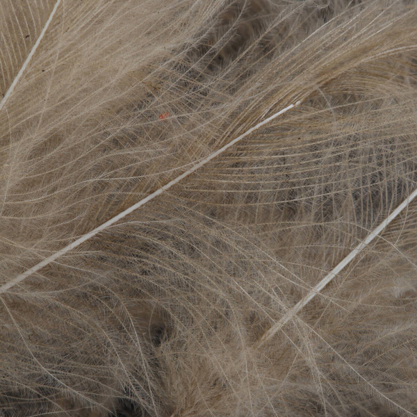 FFGene CDC Oxyd Jambo Pack - 1 gr