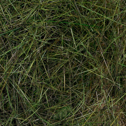 FFGene Nutria Dubbing