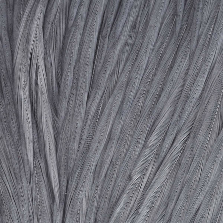 Wapsi Dry Fly Neck Hackle Mini Pack