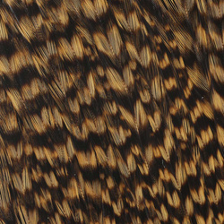 Mezzo collo di gallo Ewing Grizzly