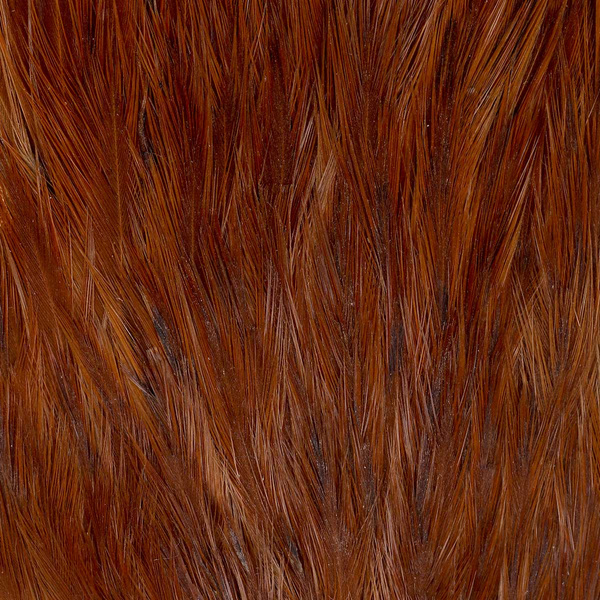 FFGene India Hen Capes