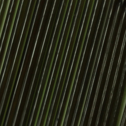 Costola di vetro Sybai