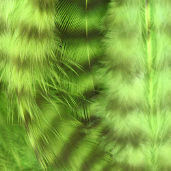 Hareline Piume da hackle morbida Grizzly