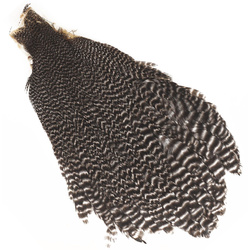 Collo di gallina Hareline