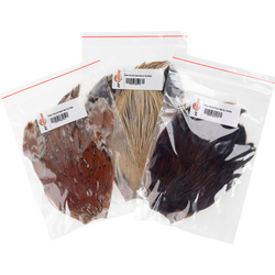 Collo di gallo FFGene India classe Top