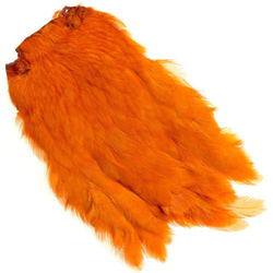 Collo di gallina Wapsi