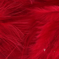 Metz Piume da hackle morbida