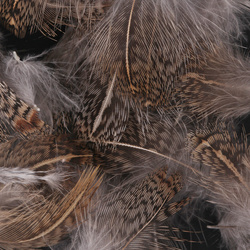 FFGene Piume di pernice ungherese 1 gram