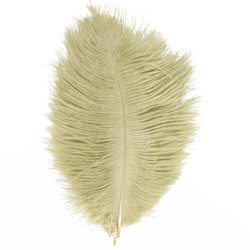 FFGene Piume hackle di struzzo