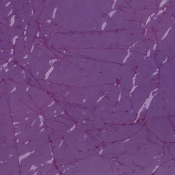 Sybai Schiuma fine per dorso e ali