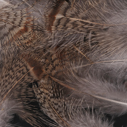 FFGene Piume di pernice ungherese 1 gram