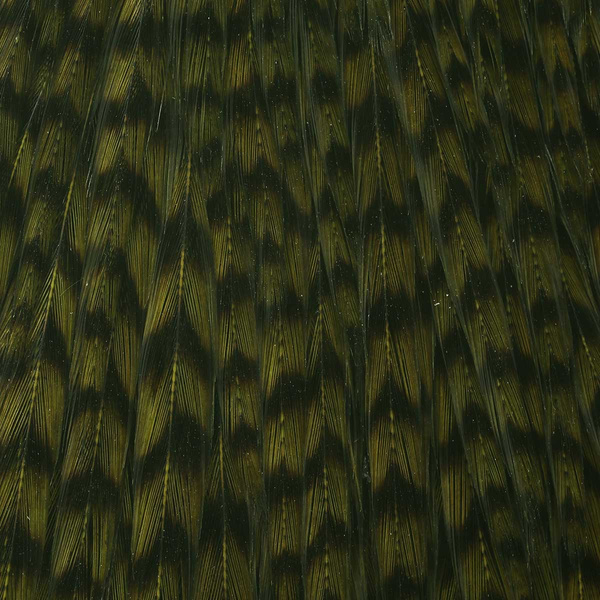 Ewing Sweet Spot Dyed