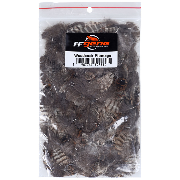 FFGene Beccaccia Piumaggio