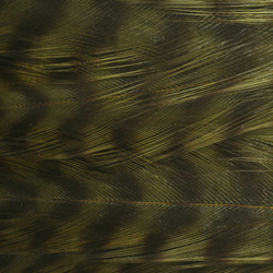 Ewing Deceiver Patch Dyed