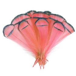 FFGene Piume tippet di fagiano di Lady Amherst