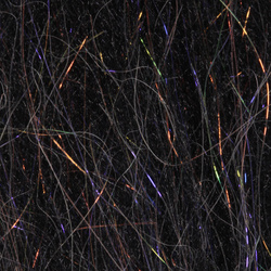 H2O Spazzola e Ala Fibra