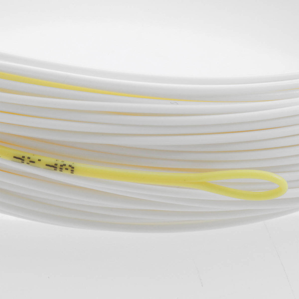 Coda di topo Taimen Accuracy P