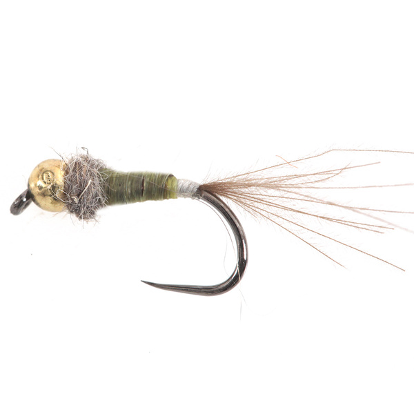 Tungsteno BH Micro Nymph Oliva/Bianco