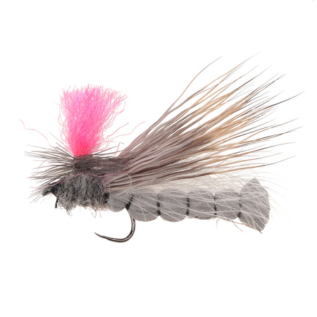 Foam Body Elk Hari Caddis