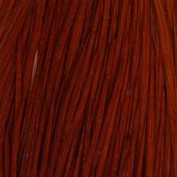 Collo di gallo FFGene Howard Hackle #3