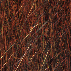 Hareline Ice Dub Shimmer Fringle