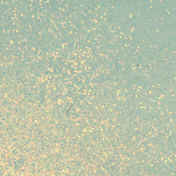 Hareline Thin Crystal Skin