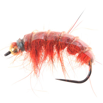 Tungsteno BH Polish Orange Scud