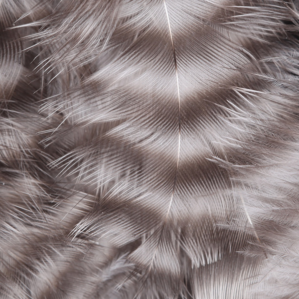 Hareline Piume da hackle morbida Grizzly