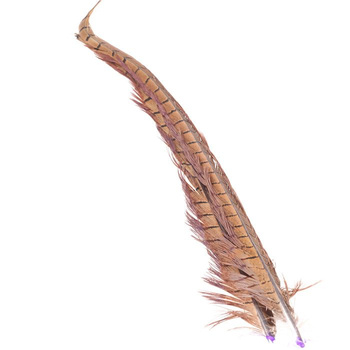 Spirit River UV2 Coda di fagiano Ringneck