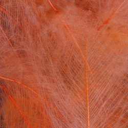 FFGene CDC Color Jambo, confezione di piume - 1 gr