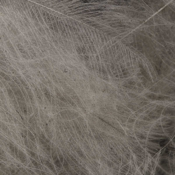 FFGene CDC Oxyd Jambo Pack - 1 gr