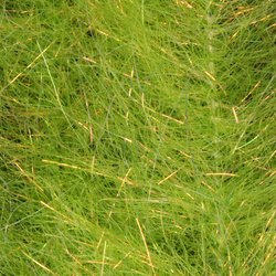 H2O Flash Blend Baitfish Pennello da 2 pollici (flash)