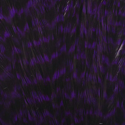 Wapsi Grizzly Hen Saddles