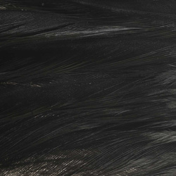 Ewing Deceiver Patch Dyed